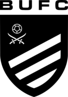 Bexhill United Football Club